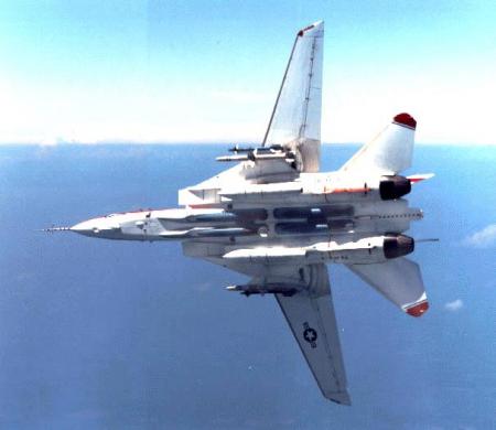 F-14 Tomcat